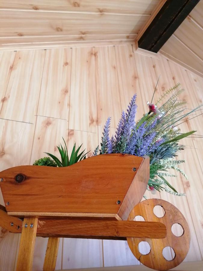 Cozy Attic Studio Braşov Extérieur photo