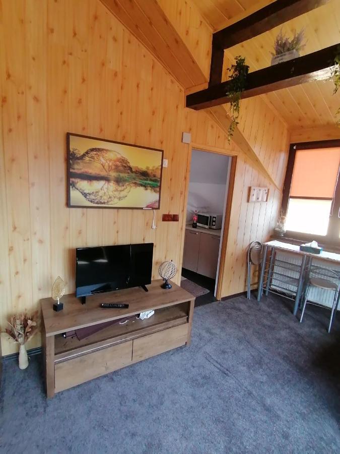 Cozy Attic Studio Braşov Extérieur photo