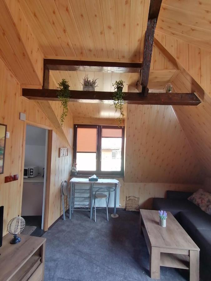 Cozy Attic Studio Braşov Extérieur photo